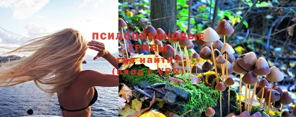 ALPHA-PVP Белокуриха