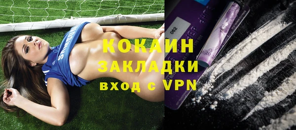 шишки Балахна