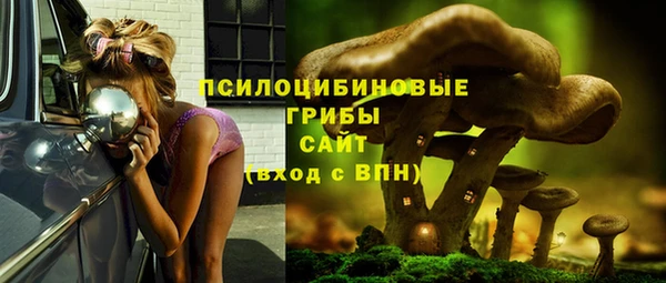 шишки Балахна
